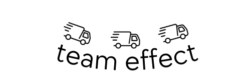 team effect logo